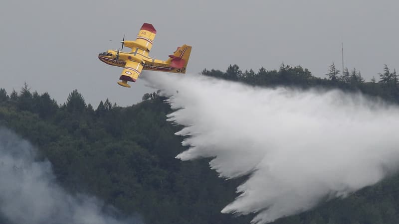 Un canadair larguant de l'eau sur un feu de forêt dans l'Aude, le 15 août 2019