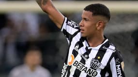 Savio