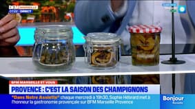 BFM Marseille et vous: la saison des champignons est bien lancée