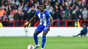 Moises Caicedo lors de Nottingham Forest-Brighton (3-1), le 26 avril 2023