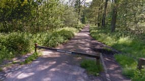 La forêt de Meudon, où les deux promeneurs ont été interpellés. (photo d'illustration)