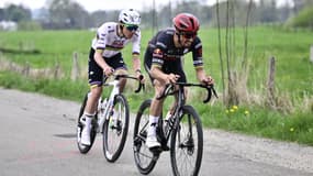 Julian Alaphilippe avec Tadej Pogacar, lors de l'Amstel Gold Race 2025