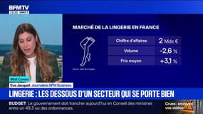 Quel est le prix moyen d'un soutien-gorge en France?