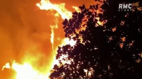 EN VIDEO - "Des flammes terrifiantes": comment le violent incendie dans le Var s'est-il déclenché?