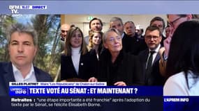 Réforme des retraites: "Cette motion de censure, s'il elle venait à exister, doit être votée par Les Républicains", affirme Gilles Platret (LR)