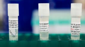 Des vaccins contre le Covid-19 à l'essai dans un laboratoire de Novavax à Gaithesburg, dans l'Etat américain du Maryland, le 20 mars 2020