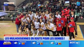 Volley: les Mulhousiennes en route pour une demi-finale de Coupe de France