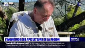 Alpes-Maritimes: les apiculteurs inquiets en raison de la sécheresse