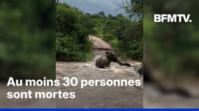En Afrique du Sud, l'état de "catastrophe nationale" a été déclaré après des inondations meurtrières