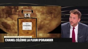 Iconic Business : Les Désirables de la semaine du 05/05/23 