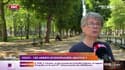 La ville de Vichy veut restaurer ses eaux thérapeutiques et abattre 180 arbres