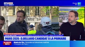 Muncipales à Paris: David Belliard candidat à la primaire écologiste