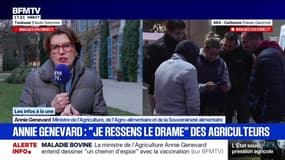 Abattages préventifs contre la dermatose bovine: "On a un protocole qui est solide, qui fonctionne et qui protège", assure Annie Genevard, ministre de l'Agriculture