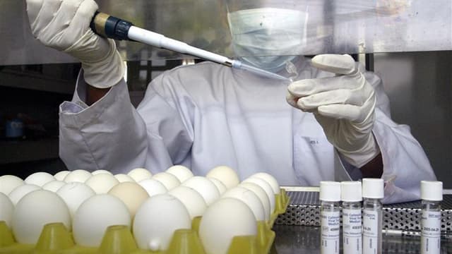 Le moratoire sur la publication d'études jugées potentiellement dangereuses concernant la mutation du virus H5N1 de la grippe aviaire sera prolongé, a indiqué vendredi l'Organisation mondiale de la santé (OMS), au terme d'une réunion d'experts à Genève. /