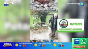 Conseil jardinage : les cendres - La météo de Colas du mardi 25 novembre 2025