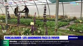 Forcalquier : les jardiniers face à l'hiver 