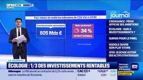 Écologie : 1/3 des investissements rentables