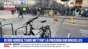 Mercosur: tensions entre les forces de l'ordre et les agriculteurs à quelques mètres du Parlement européen