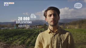 Région Sud, à votre service : 100% valeurs du sud