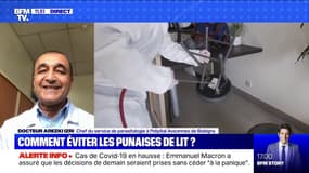 Comment éviter les punaises de lit ? BFMTV répond à vos questions