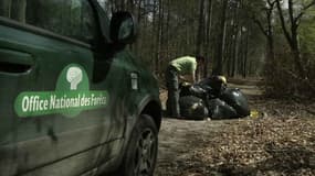 Les agents de l'ONF retrouvent chaque jour dans la forêt de Fontainebleau des déchets provenant de chantiers environnants