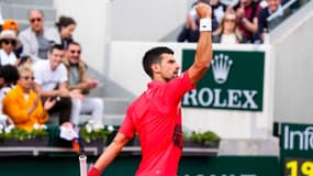 N. Djokovic