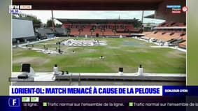 Ligue 1: la rencontre Lorient-OL menacée à cause de la pelouse, abîmée par la sécheresse