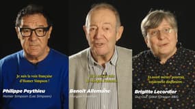 Philippe Peythieu (voix française d'Homer Simpson), Benoît Allemane (Morgan Freeman) et Brigitte Lecordier (Goku)