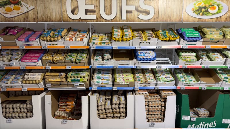 7 supermarchés sur 10 vendent encore des œufs de poules élevées en cage, malgré leurs promesses de les bannir