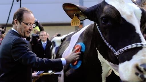 François Hollande, alors candidat socialiste à la présidentielle, au Salon de l'agriculture 2012