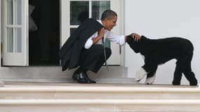 Barack Obama et son chien Bo, en 2012, à la Maison Blanche.