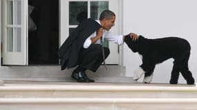 Barack Obama et son chien Bo, en 2012, à la Maison Blanche.