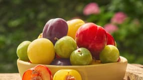 Une trentaine de variétés de prunes sont produites en France.