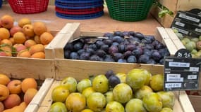 Un frelon sur un étal de fruits sur le marché d'Aix-en-Provence.