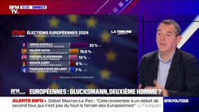 Élections européennes: Raphaël Glucksmann "a une crédibilité sur un certain nombre de sujets européens", note Jérôme Fourquet (IFOP)