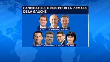 Les candidats de la primaire de la gauche