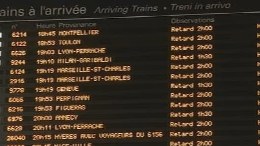 Certains TGV ont subi des retards de plus de quatre heures jeudi soir.