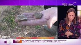 Ile-de-France : des déchets d'amiante retrouvés dans un parc