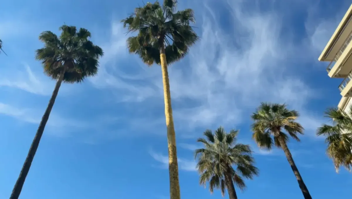 placeholder video