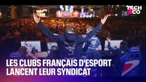 Les clubs français d'esport lancent leur syndicat
