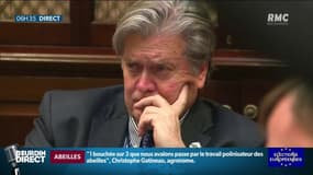 Qui est Steve Bannon, soutien du RN pour les élections européennes?
