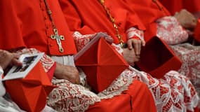 Des cardinaux assistant à un Consistoire public ordinaire du pape le 5 octobre 2019 à la basilique Saint-Pierre au Vatican. 