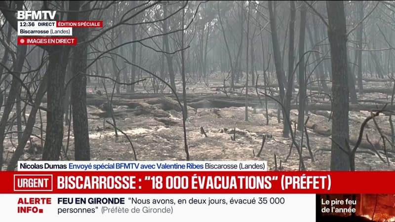 Incendie dans les Landes: des images de désolation à Biscarrosse