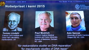 Les portraits des Nobel de chimie: Tomas Lindahl, Paul Modrich et Aziz Sancar.