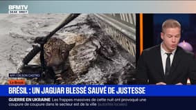 Le break du 10 octobre