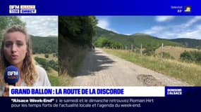 Haut-Rhin: discorde autour de la route du Hagg