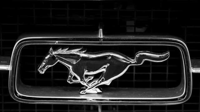 Si la Ford Mustang a un cheval sur sa calandre, une Volkswagen Golf allemande s'est retrouvée avec un canasson dans le pare-brise!