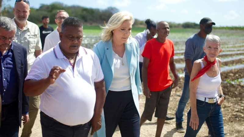 Présidentielle: comment expliquer les scores de Marine Le Pen aux Antilles et en Guyane?