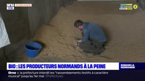 Inflation: les producteurs normands à la peine sur les produits bio