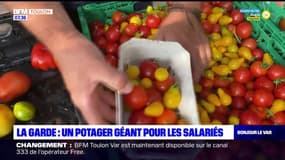 La Garde: un potager géant pour les salariés